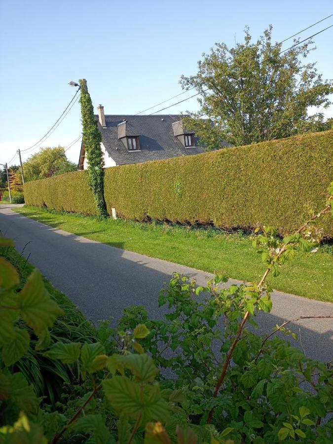 La P'Tite Maison Bordeaux-Saint-Clair Exteriör bild